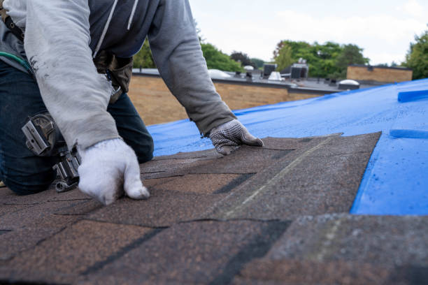 Best Roof Replacement Cost  in Harristown, IL
