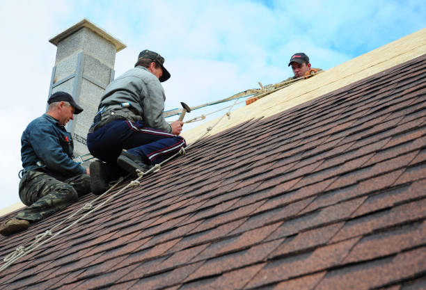 Best Affordable Roofing Company  in Harristown, IL