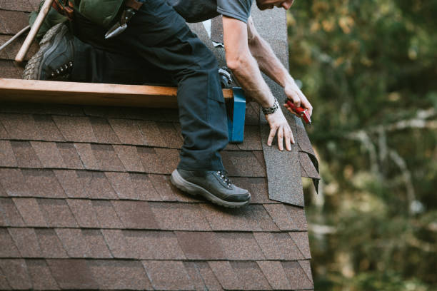 Best Roof Repair Services  in Harristown, IL